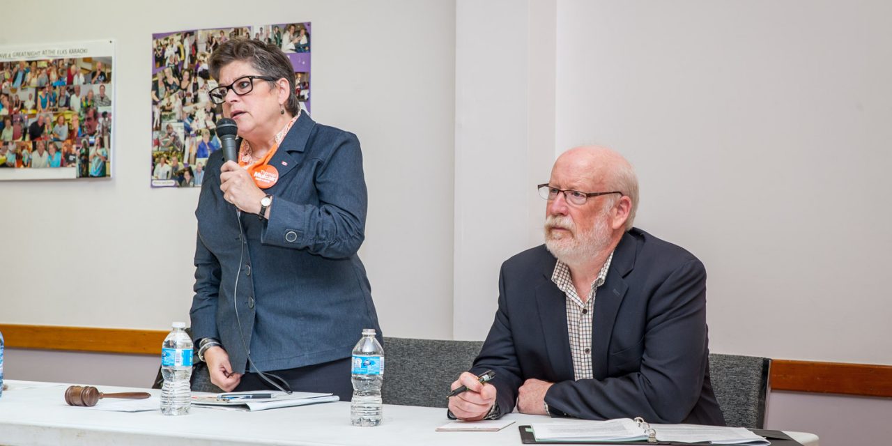 NDP contenders take aim at Harper as Maximenko calls for criminal charges against PM