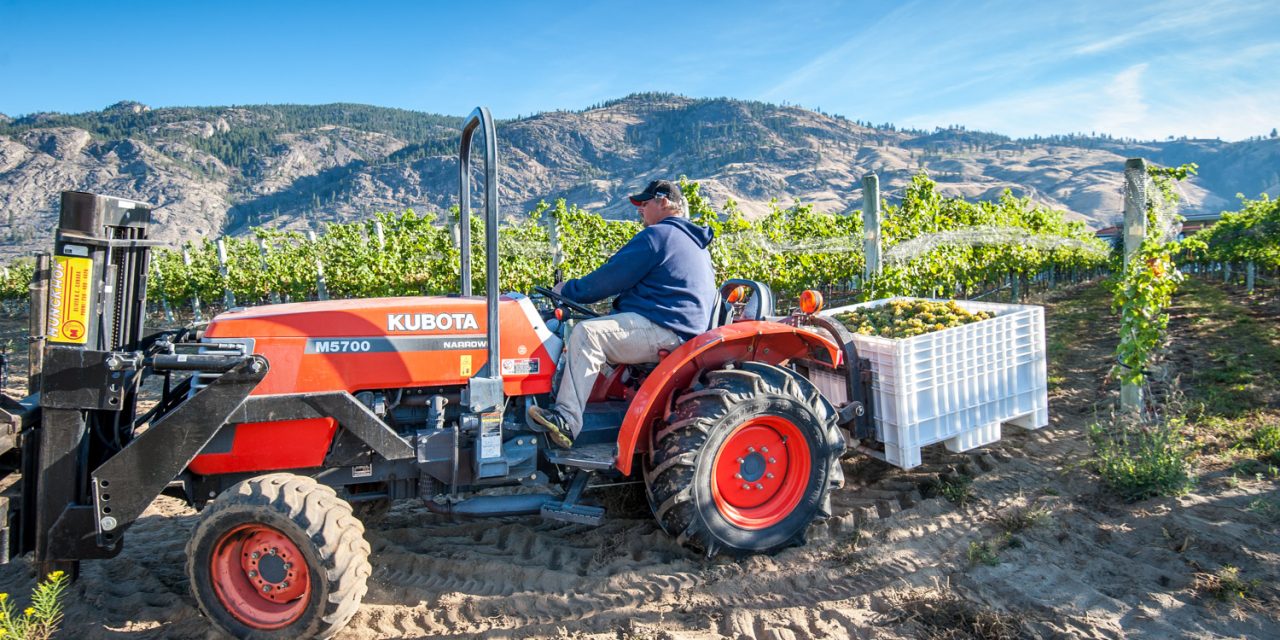 Local wineries shine at WineAlign nationals