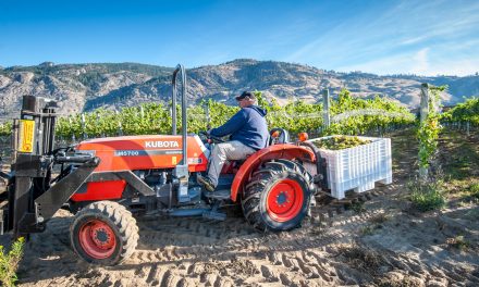 Local wineries shine at WineAlign nationals
