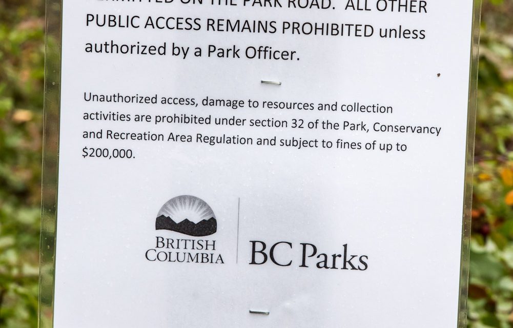 Walkers, cyclists may now use Haynes Point park roadway