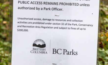 Walkers, cyclists may now use Haynes Point park roadway