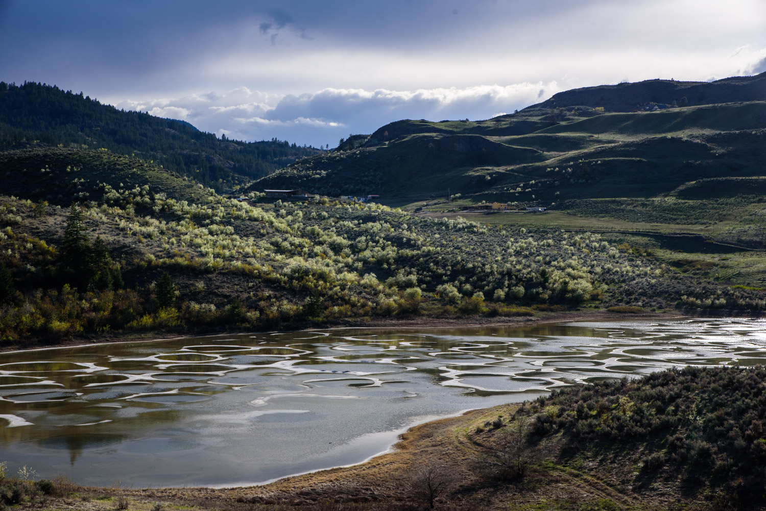 In early April, there's still water covering the mud rings on Spotted Lake just west of Osoyoos, B.C. The mineral-rich mud rings make this lake distinctive. Okanagan First Nations people of the area say the mud has healing powers and the lake is sacred to them. (© Richard McGuire)