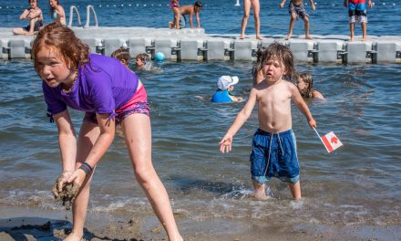 High temperatures prompt heat stress alert in the Okanagan