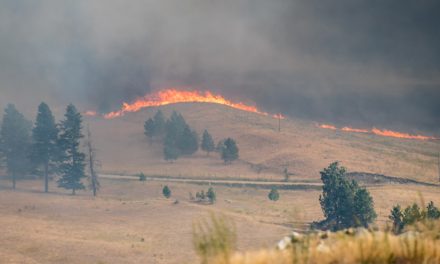 Wildfires raging east of Osoyoos