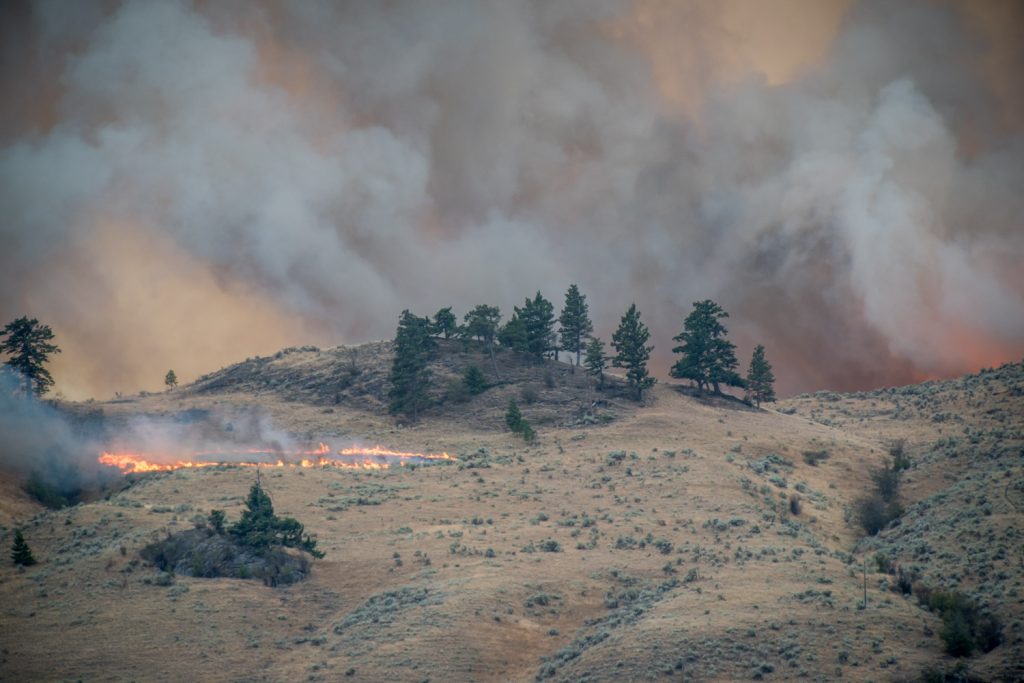 The fire at left started less than a minute before this photo was taken, apparently sparked by some burning material blown down from the fire above. Four minutes later, it had spread over a wide area, pictured in the photo above. (Richard McGuire photo)
