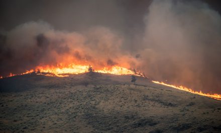 Campfire ban lifted in RDOS as conditions change