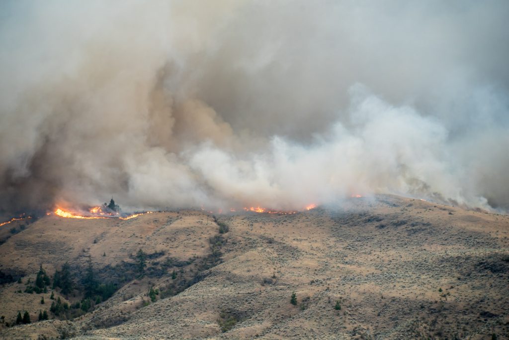 Fire spreads rapidly down the slopes of Mount Kobau near Testalinden Creek. (Richard McGuire photo)