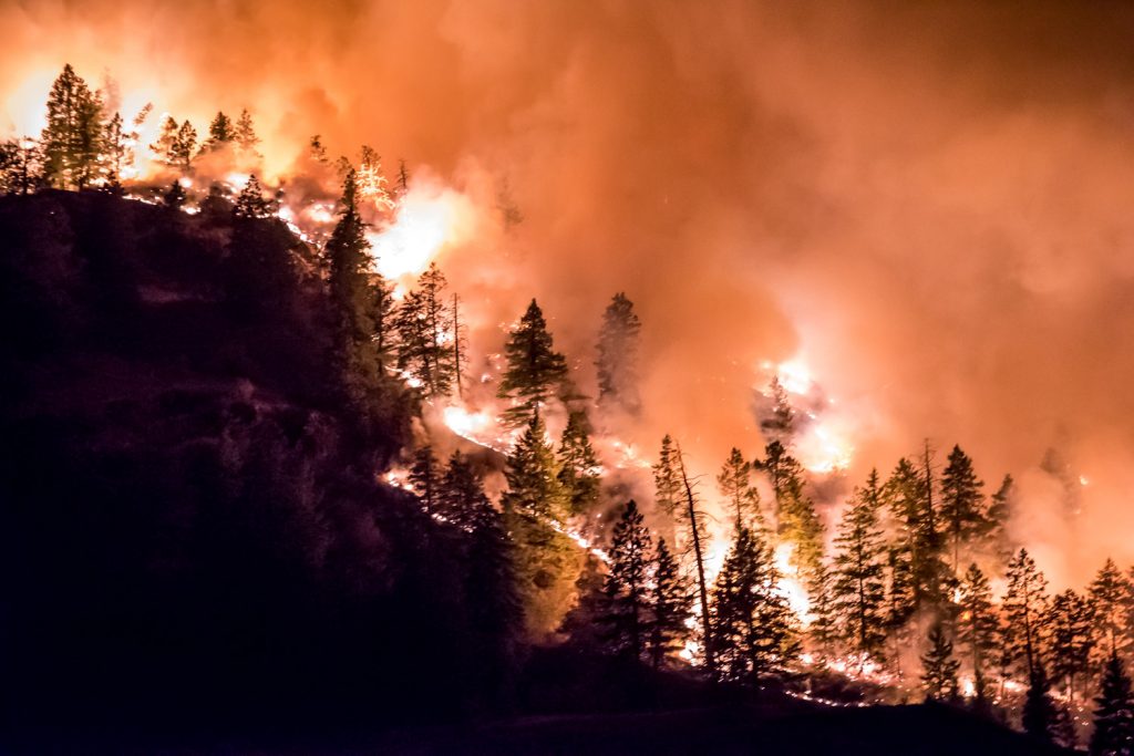 Trees burn as intense flames spread down the base of Mount Kobau just south of Testalinden Creek. This photo was taken at 9:46 p.m. Friday. (Richard McGuire photo)
