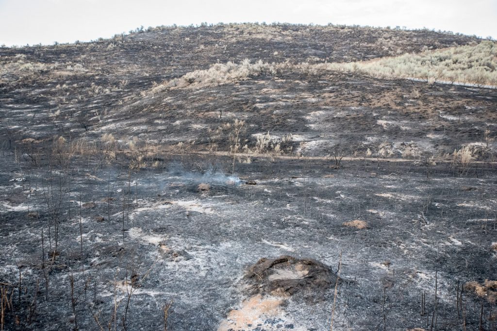 All the remains to the sides of Highway 3 along many parts of the stretch between Spotted Lake and Richter Pass is smouldering, scorched earth. Portions, such as the area in the upper right, did not burn. This photo was taken at 7:42 p.m. Saturday. (Richard McGuire photo)