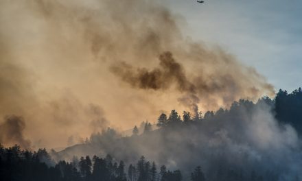 Government takes action to ground illegal drones