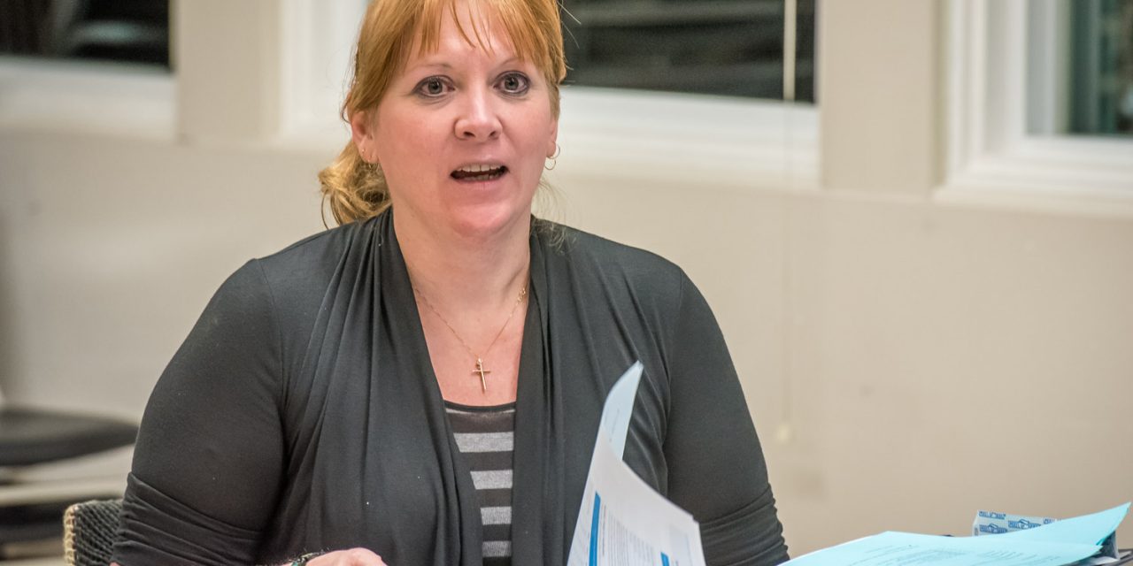 Brenda Dorosz, Colleen Ross consider seeking NDP nomination