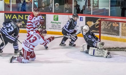 Coyotes take two-game lead in playoff series