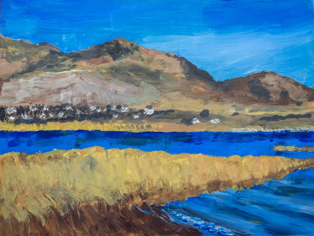 Osoyoos Times Reporter/Photographer Richard McGuire has never painted with acrylics before in his life and I hasn't even done watercolours since he was a teenager. He gave acrylics a try when the Osoyoos Lake Water Quality Society held a fundraiser called Paint and Sip at the Watermark Beach Resort. Guests were given a canvas, some brushes and acrylic paint and asked do a painting inspired by Osoyoos Lake. As a photographer, McGuire understands composition, colour and light and shadow, but mixing paints and brush techniques were a new experience. The result may not win an award, but he's inspired to try again. (Richard McGuire photo and painting)