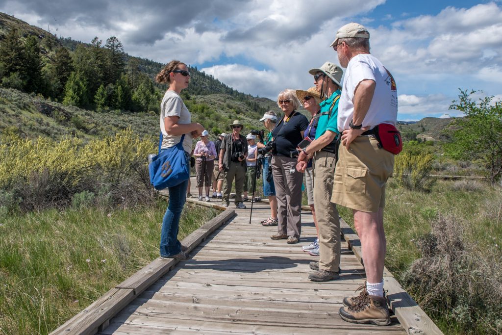 Valerie Blow (left), restoration co-ordinator at the Osoyoos Desert Centre, leads a guided tour where she talks about plants on Saturday as the centre opens for the season. Many desert plants are now in bloom, including the antelope brush behind her. (Richard McGuire photo)
