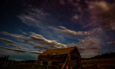 Perseid meteor shower should be visible again tonight