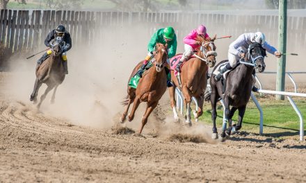 VIDEO: A day at the races — horse racing at Desert Park in Osoyoos