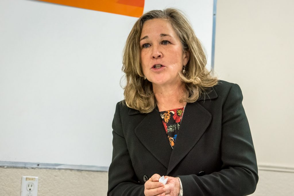 NDP choose Colleen Ross as provincial candidate; Ross defeats school ...