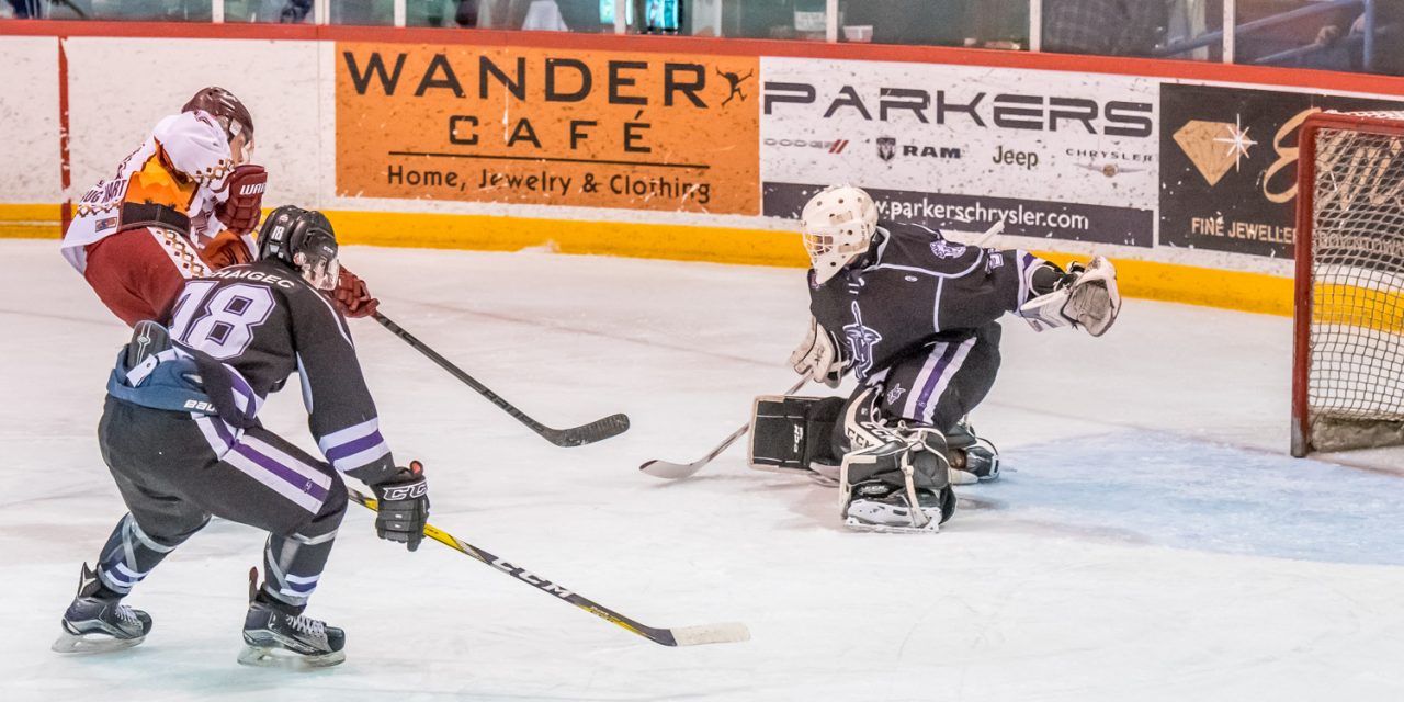 Coyotes looking good in opening round series against Knights