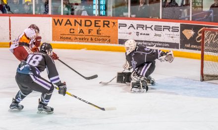 Coyotes looking good in opening round series against Knights