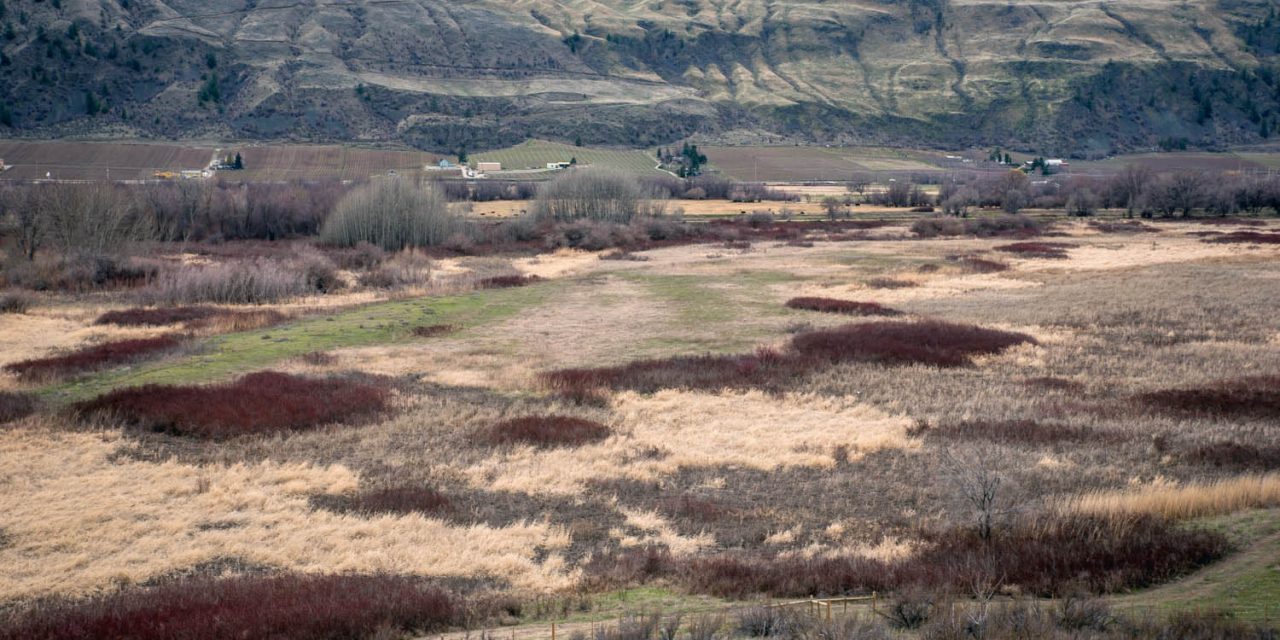 NCC land purchase will lead to wetland restoration north of Road 22