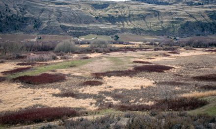 NCC land purchase will lead to wetland restoration north of Road 22