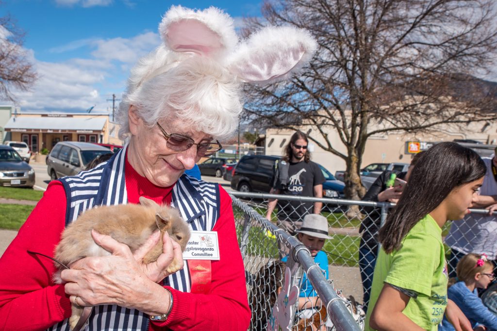 Wearing bunny ears, Osoyoos Festival Society volunteer Jessie Smythe holds an adorable, soft lionhead rabbit at the petting zoo. (Richard McGuire photo)
