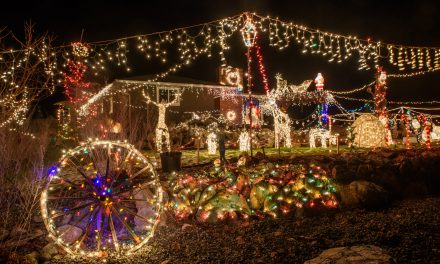 Festival Society hosting contest for best Christmas lights