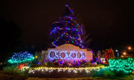 Osoyoos in Lights