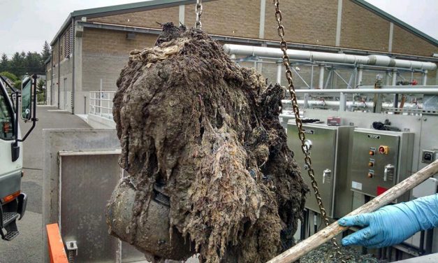 Don’t contribute to ‘fatburgs’ and headaches for utility workers