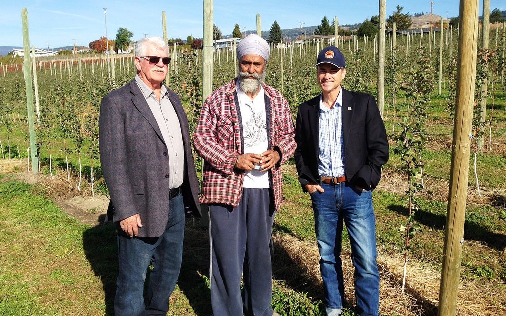 2017 tree fruit replant program funding available