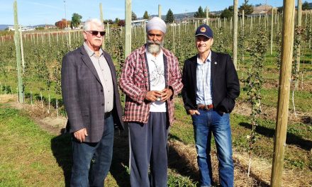 2017 tree fruit replant program funding available