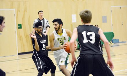Hornets win zone championship, now ready for valleys