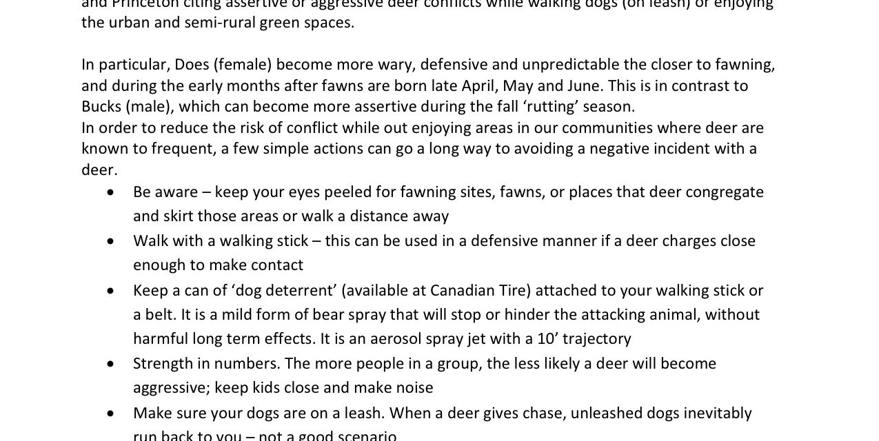 RDOS Update…Oh Deer, It’s Spring Again – Deer Conflicts on the Rise