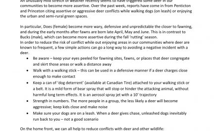 RDOS Update…Oh Deer, It’s Spring Again – Deer Conflicts on the Rise