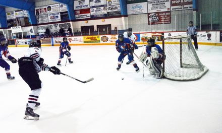 South Okanagan minor hockey teams excel in playoffs