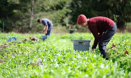 Province launches online portal for agriculture industry jobs