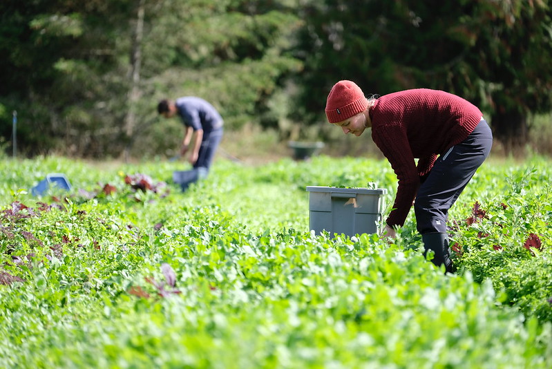 Province launches online portal for agriculture industry jobs