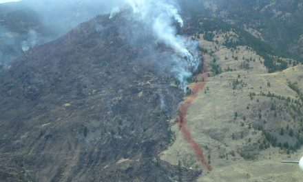 News Briefs: Efforts continue at Testalinden Creek fire, now 95 per cent contained