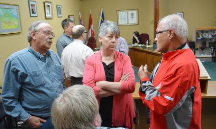 ALC gives Town much authority