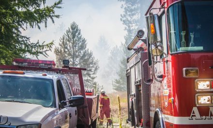 UPDATE: Crews clearing hot spots after lightning sparks fires on Anarchist Mtn.