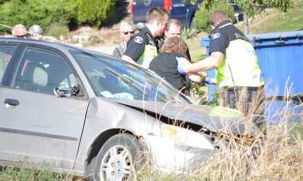Motorist hits power pole, shuts down highway