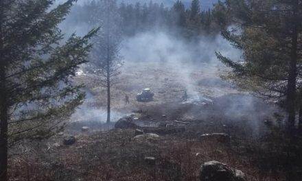 Anarchist firefighters battle first wild blaze this year