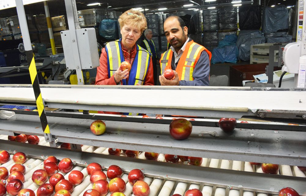 Apple growers in South Okanagan ‘need a break’