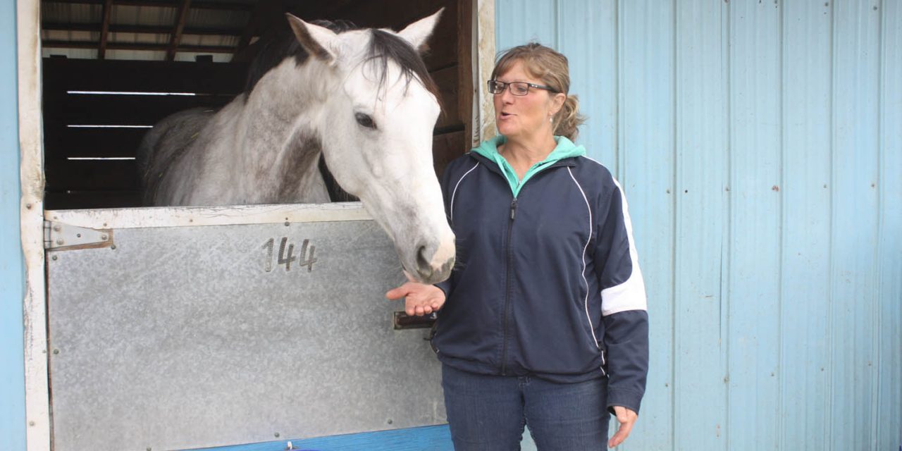 Alberta horse owner and trainer enjoys coming to Osoyoos to train at Desert Park