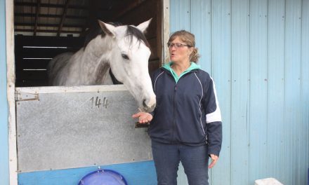 Alberta horse owner and trainer enjoys coming to Osoyoos to train at Desert Park