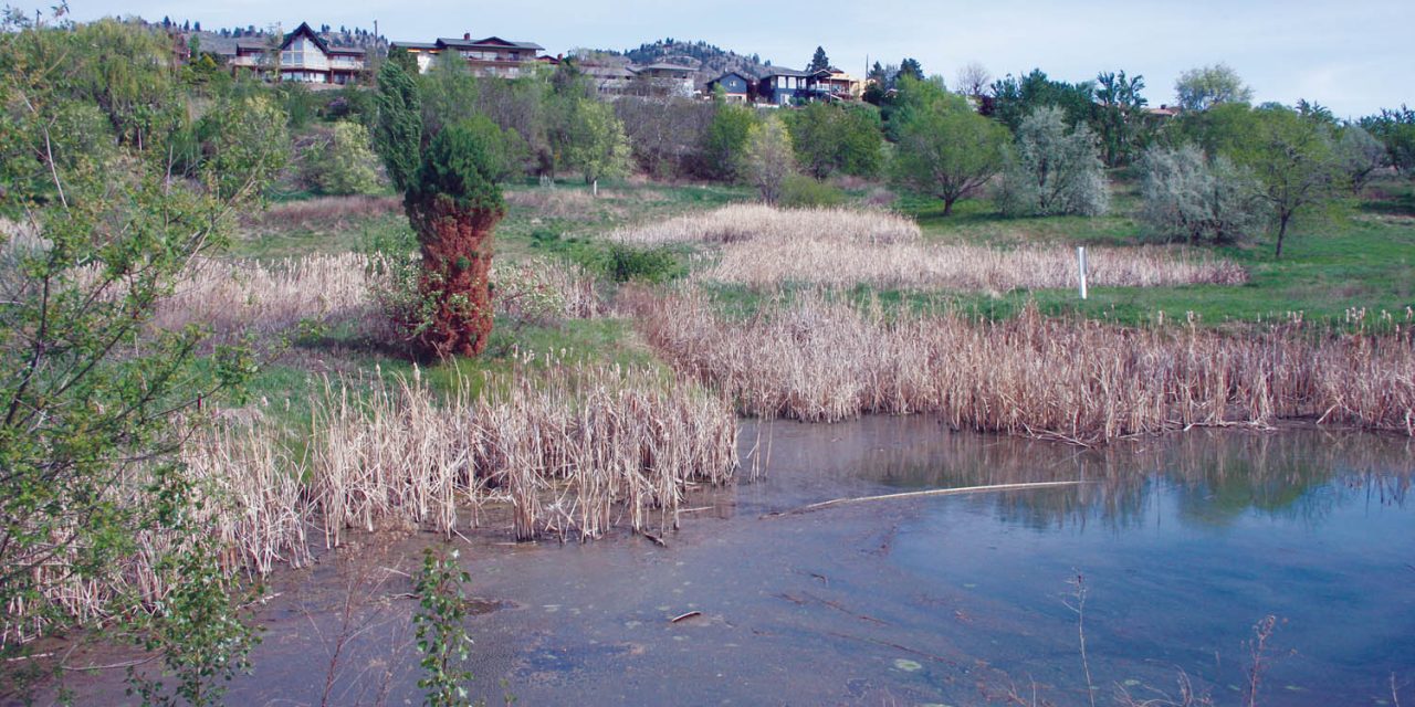 Residents oppose Lakeshore Drive development at public hearing