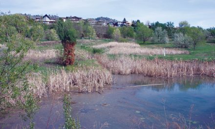 Scaled down Lakeshore Drive development proposal receives much stronger support