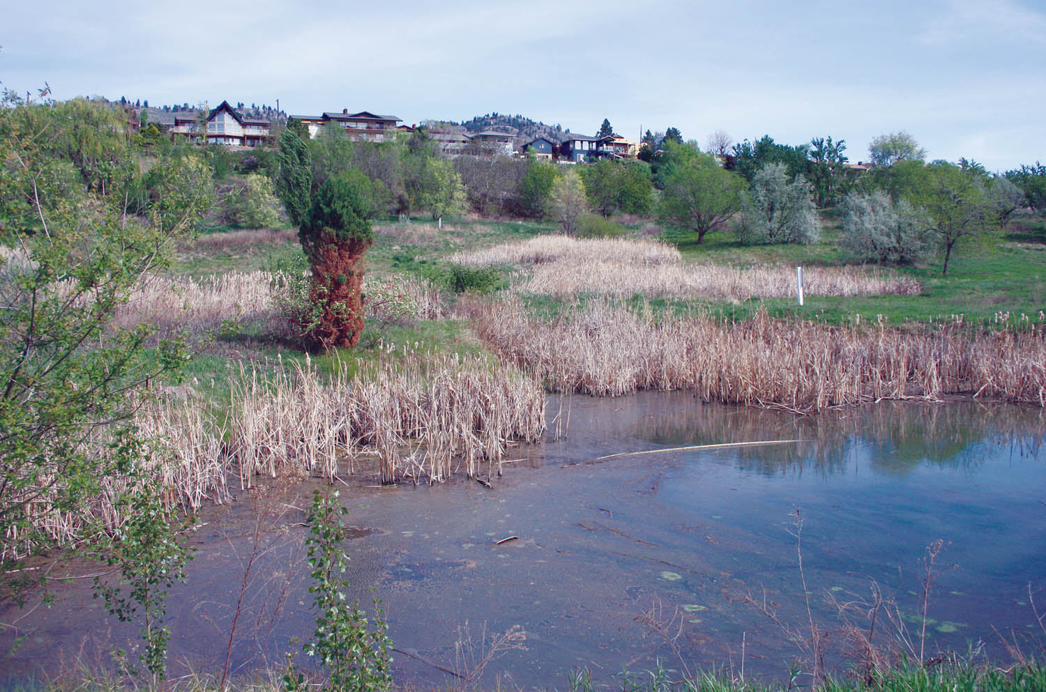 Vancouver developer Chris Morardian made a special presentation to Town of Osoyoos council on Monday detailing his vision to develop a 175-unit housing development across from the Walnut Beach Resort on Lakeshore Drive in Osoyoos. The development would feature townhouses, condos and single-family homes as well as several community amenities, said Morardian. (Keith Lacey photo)