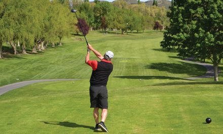 Council agrees to pay $300K for irrigation upgrade if Osoyoos Golf Club successful in getting $500K grant