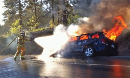 Car destroyed in fire on Anarchist Mountain